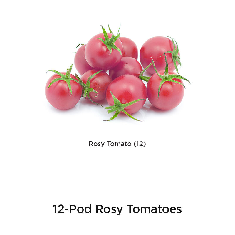 Red Heirloom Cherry Tomato Seed Pod Kit image number null